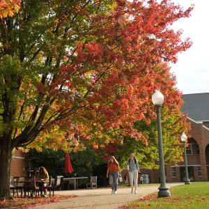 Campus beauty shot