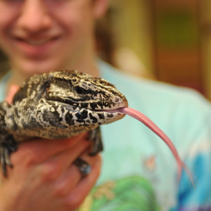 Student with reptile