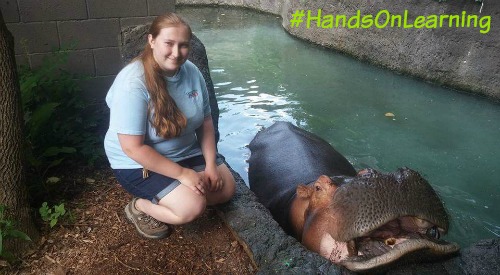 PAINTING WITH A HIPPO. Zoo & Wildlife Biology major completes interesting  internship | Malone University