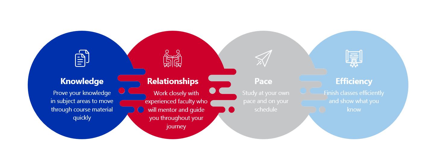 4 circles linked together with this text inside: Knowledge, Relationships, Pace, and Efficiency